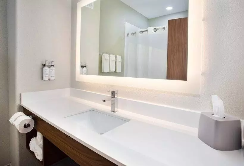 スイート, Holiday Inn Express Hotel And Suites Katy, An Ihg