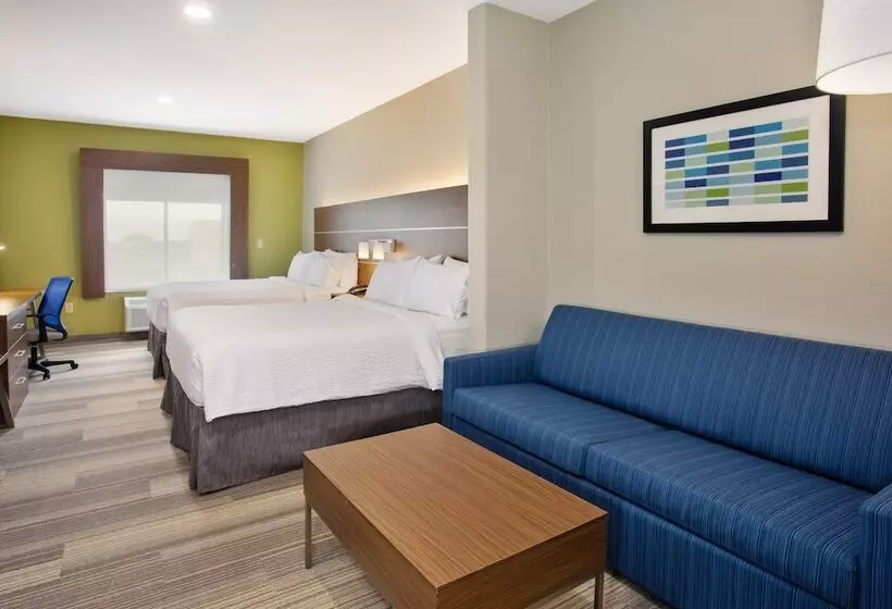 スイート, Holiday Inn Express Hotel And Suites Katy, An Ihg