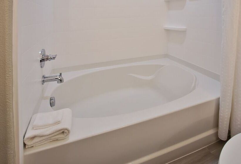 סוויטה, Holiday Inn Express Hotel And Suites Katy, An Ihg