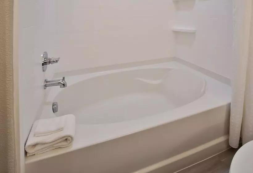 スイート, Holiday Inn Express Hotel And Suites Katy, An Ihg