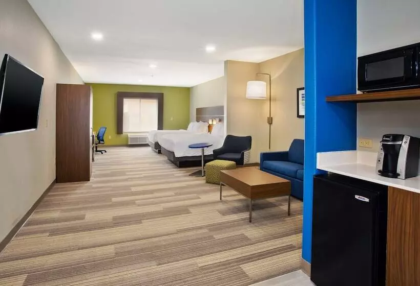 スイート, Holiday Inn Express Hotel And Suites Katy, An Ihg