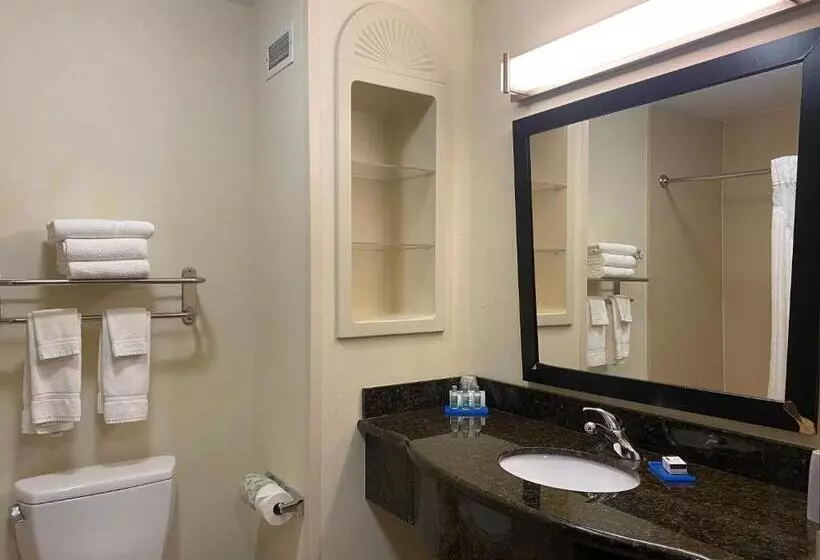 キングサイズベッドのスタンダードルーム, Holiday Inn Express Hotel And Suites   Odessa, An Ihg