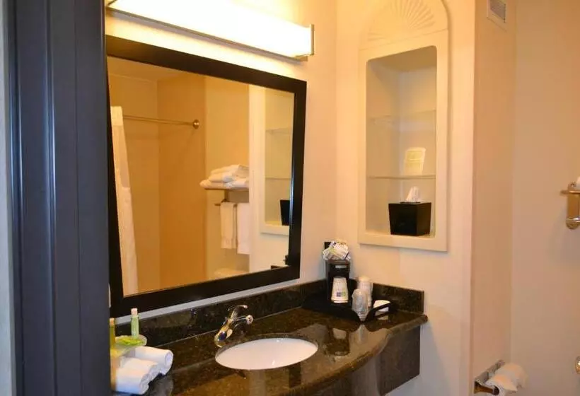 キングサイズベッドのスイートルーム, Holiday Inn Express Hotel And Suites   Odessa, An Ihg