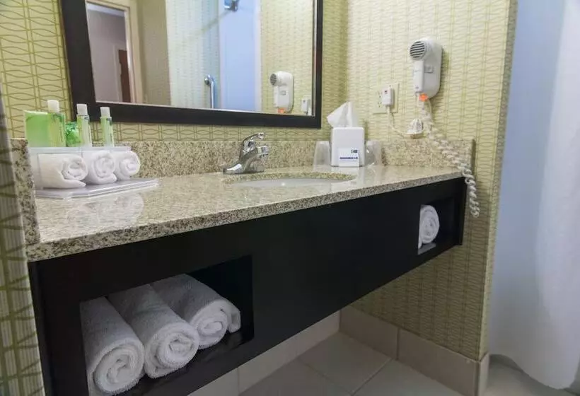 ２ダブルベッドのスタンダードルーム, Holiday Inn Express And Suites Winchester, An Ihg