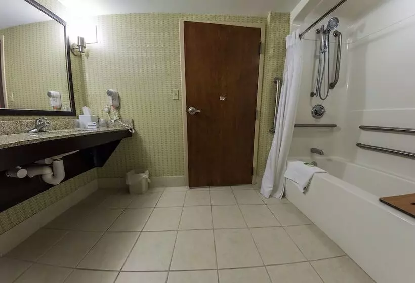 身障者適用スイートルーム, Holiday Inn Express And Suites Winchester, An Ihg