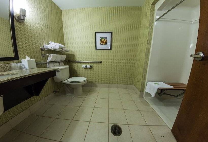 适合残疾人士使用的套间, Holiday Inn Express And Suites Winchester, An Ihg