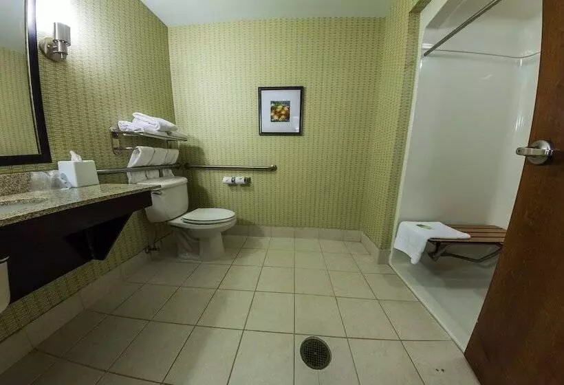 身障者適用スイートルーム, Holiday Inn Express And Suites Winchester, An Ihg