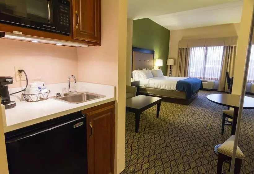 身障者適用スイートルーム, Holiday Inn Express And Suites Winchester, An Ihg