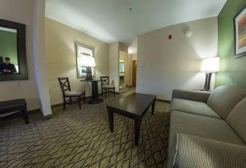 身障者適用スイートルーム, Holiday Inn Express And Suites Winchester, An Ihg