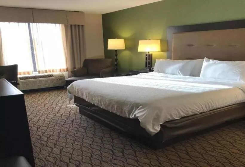 キングサイズベッドのスタンダードルーム, Holiday Inn Express And Suites Winchester, An Ihg