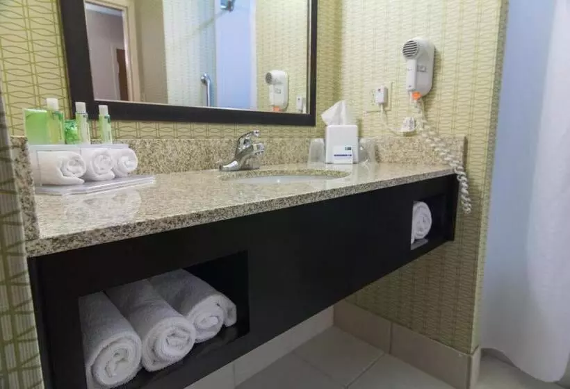 ２ダブルベッドのスタンダードルーム, Holiday Inn Express And Suites Winchester, An Ihg
