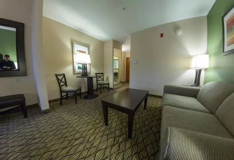 キングサイズベッドのスイートルーム, Holiday Inn Express And Suites Winchester, An Ihg