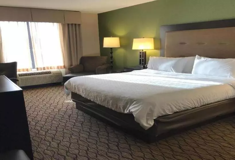 身障者適用キングサイズベッドルーム, Holiday Inn Express And Suites Winchester, An Ihg