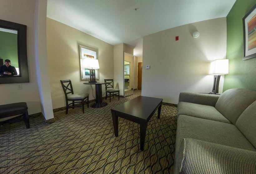 适合残疾人士使用的套间, Holiday Inn Express And Suites Winchester, An Ihg