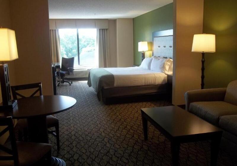 适合残疾人士使用的带超级大床的标准间, Holiday Inn Express And Suites Winchester, An Ihg