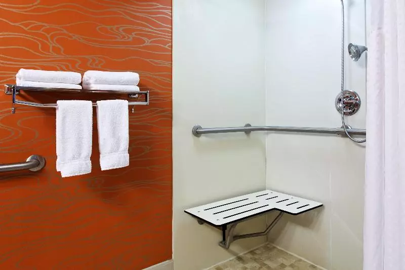身障者適用キングサイズベッドルーム, Holiday Inn Express Richmond Brandermill Hull Street, An Ihg