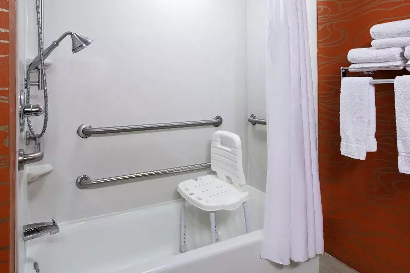 身障者適用キングサイズベッドルーム, Holiday Inn Express Richmond Brandermill Hull Street, An Ihg