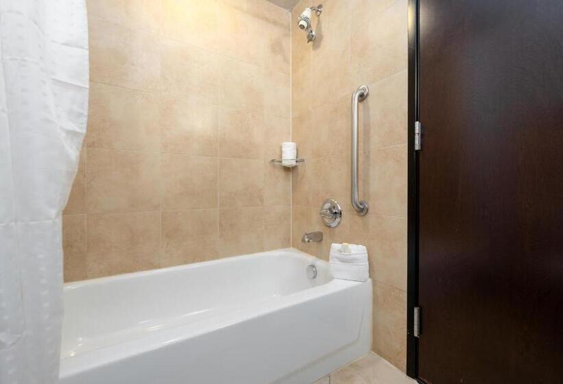 غرفة قياسية سرير كينج, Holiday Inn Temple   Belton, An Ihg