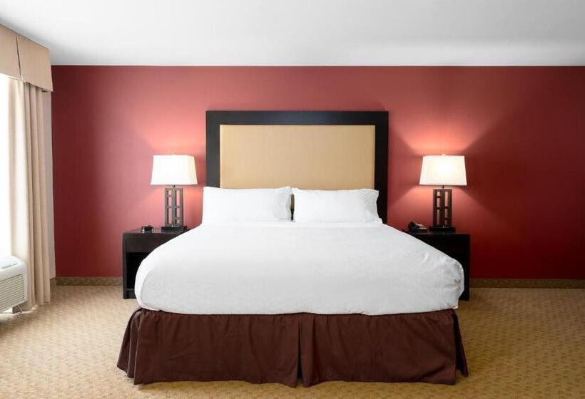 غرفة قياسية سرير كينج لذوى الإحتياجات الخاصة, Holiday Inn Temple   Belton, An Ihg