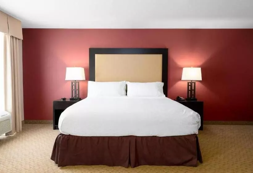 اتاق استاندارد با تخت بزرگ برای معلولان, Holiday Inn Temple   Belton, An Ihg