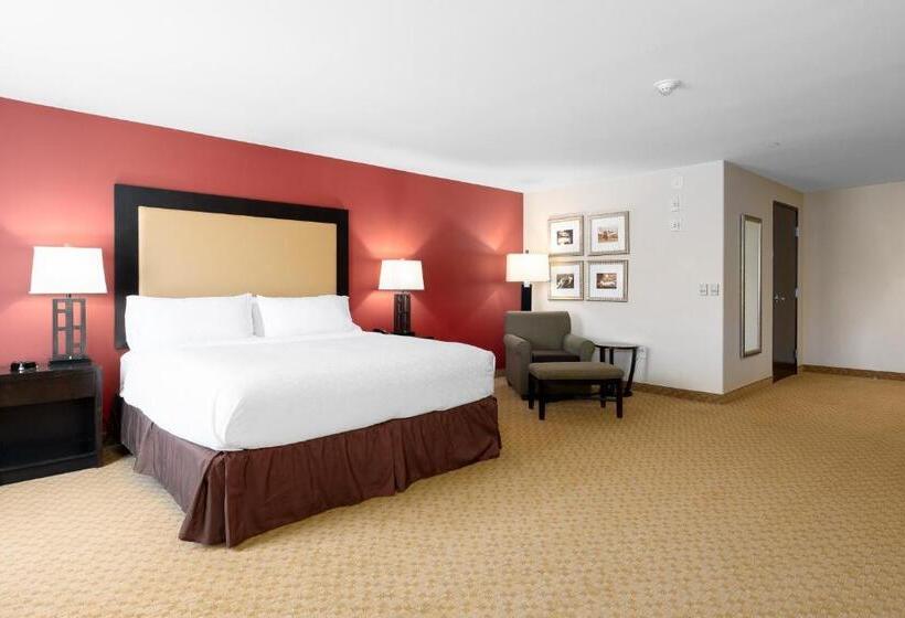 适合残疾人士使用的带超级大床的标准间, Holiday Inn Temple   Belton, An Ihg