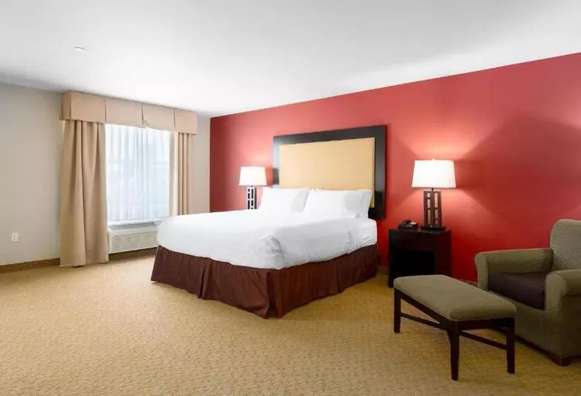 اتاق استاندارد با تخت بزرگ برای معلولان, Holiday Inn Temple   Belton, An Ihg
