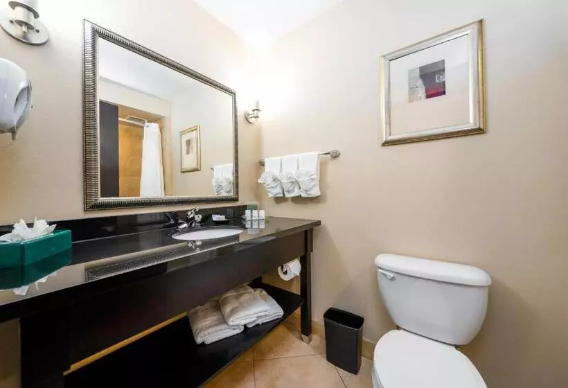 اتاق استاندارد برای معلولان, Holiday Inn Temple   Belton, An Ihg