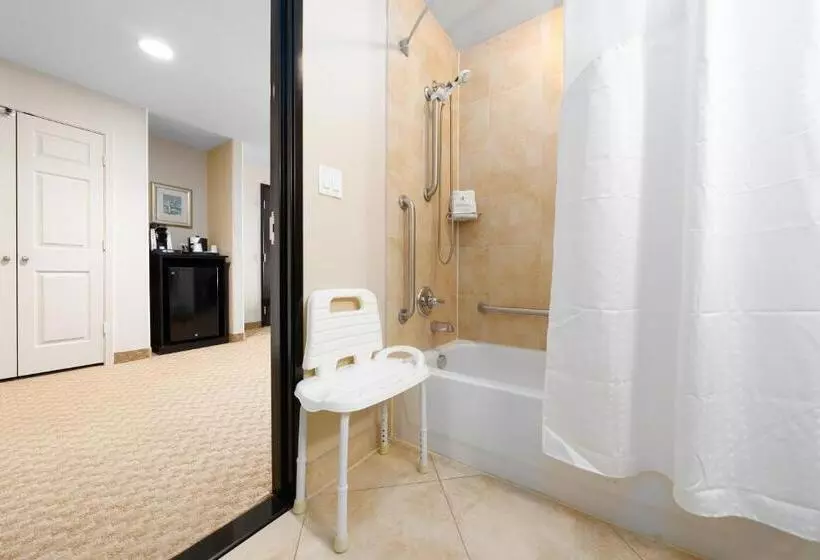 اتاق استاندارد برای معلولان, Holiday Inn Temple   Belton, An Ihg