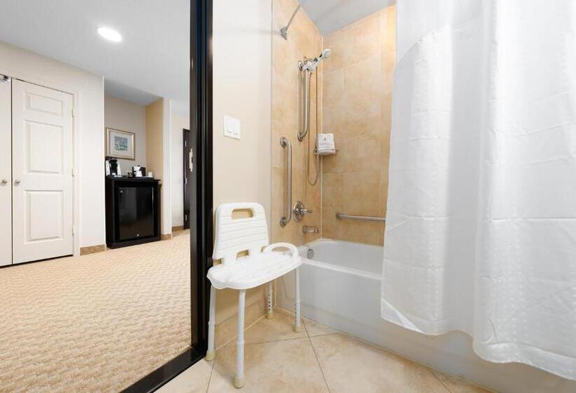 غرفة قياسية سرير كينج لذوى الإحتياجات الخاصة, Holiday Inn Temple   Belton, An Ihg