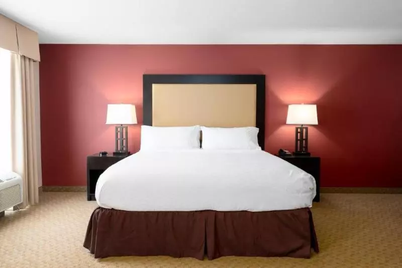 اتاق استاندارد با تخت بزرگ, Holiday Inn Temple   Belton, An Ihg