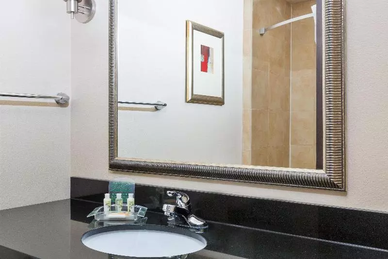 اتاق استاندارد با تخت بزرگ, Holiday Inn Temple   Belton, An Ihg