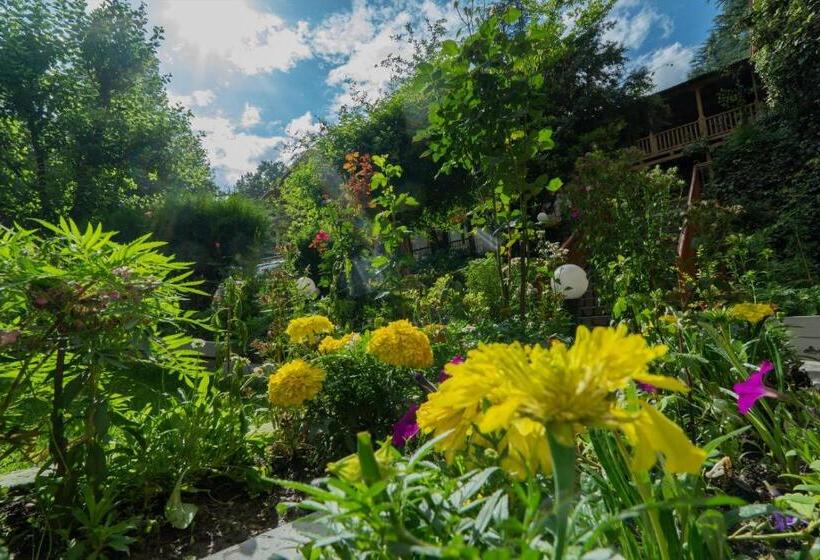 سوئیت با بالکن, Negi S Mayflower A Heritage Since 1965