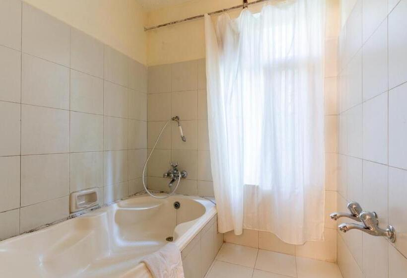 اتاق لوکس با چشم‌انداز, Negi S Mayflower A Heritage Since 1965