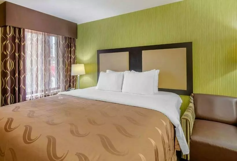 キングサイズベッドのスタンダードルーム, Quality Inn