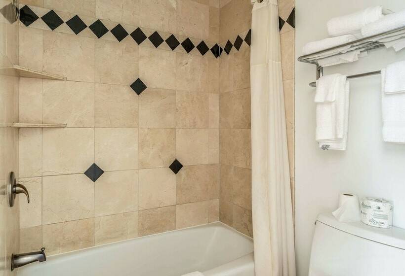 غرفه قياسيه سريرين مزدوجين, Inn At University