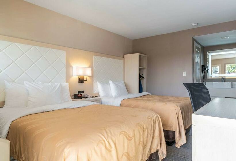 غرفه قياسيه سريرين مزدوجين, Inn At University