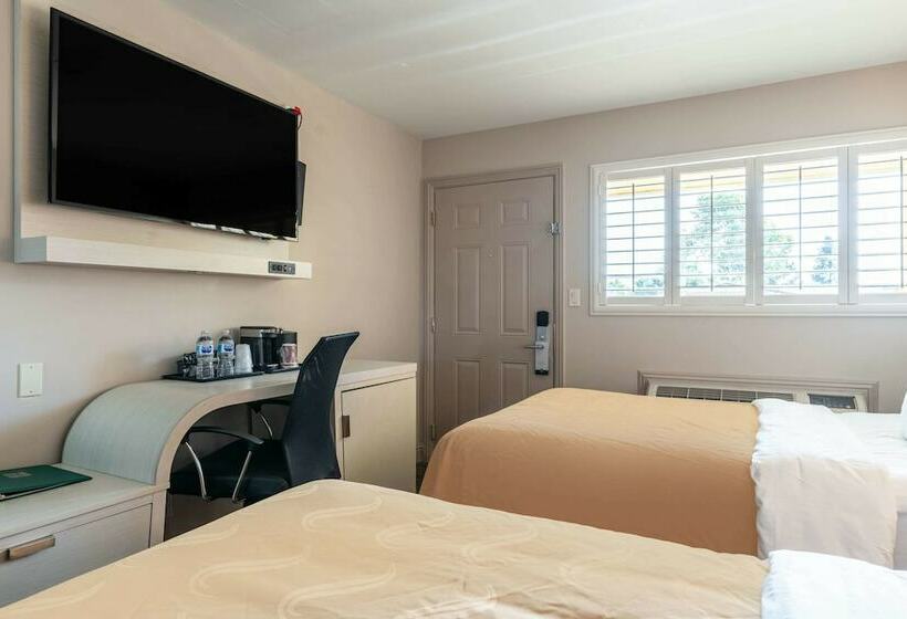 غرفه قياسيه سريرين مزدوجين, Inn At University