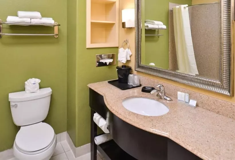スイート, Sleep Inn And Suites Downtown Houston