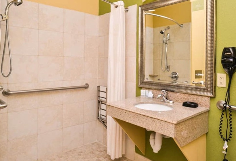 スイート, Sleep Inn And Suites Downtown Houston