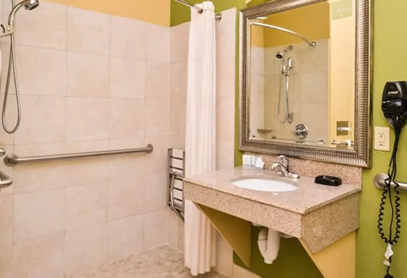 スイート, Sleep Inn And Suites Downtown Houston