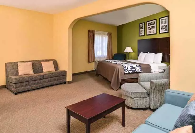 スイート, Sleep Inn And Suites Downtown Houston