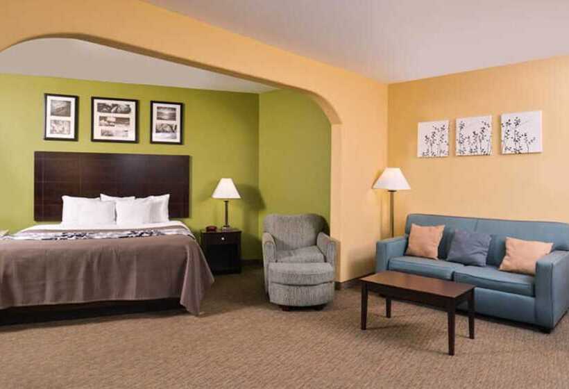 Люкс, Sleep Inn And Suites Downtown Houston
