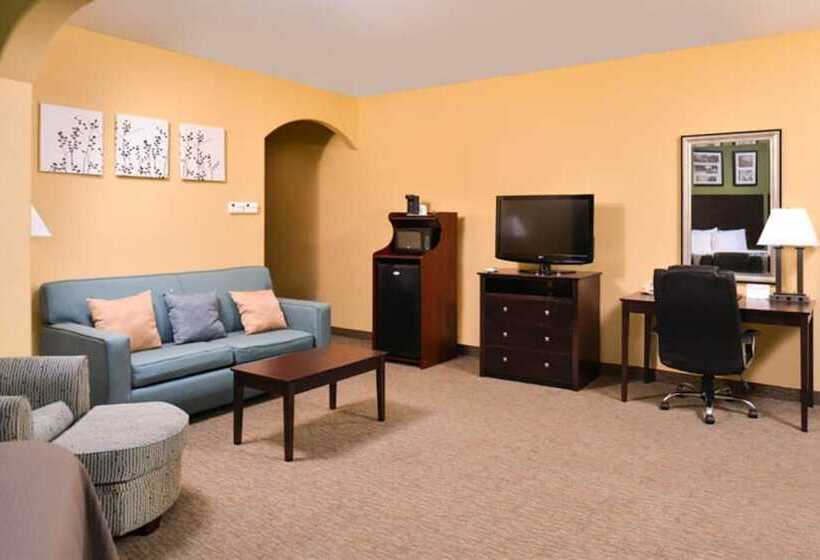 スイート, Sleep Inn And Suites Downtown Houston
