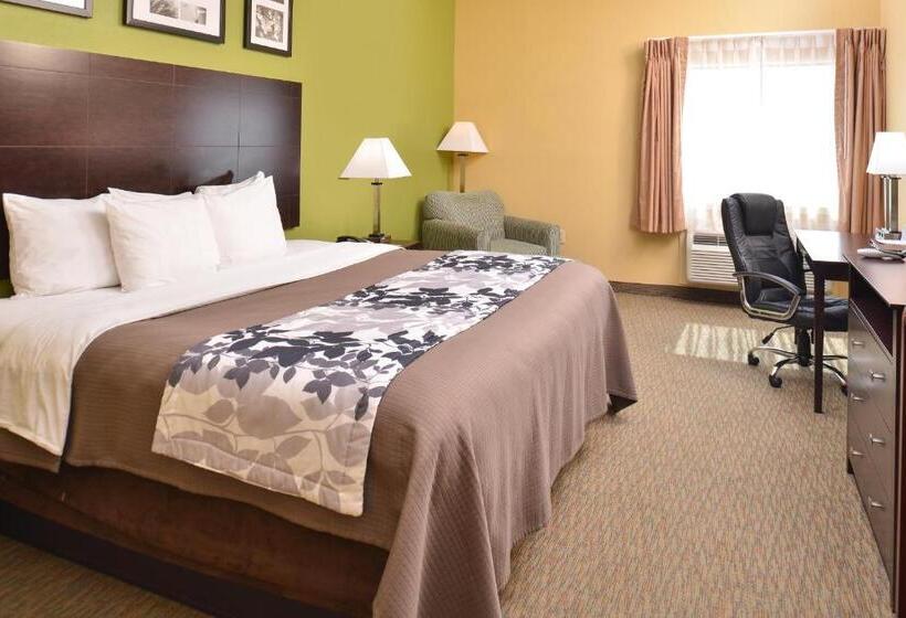 Стандартный Номер Кровать Кинг, Sleep Inn And Suites Downtown Houston