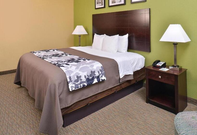 Стандартный Номер Кровать Кинг, Sleep Inn And Suites Downtown Houston