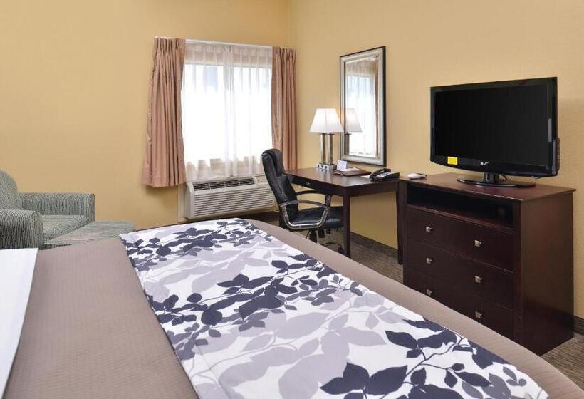 キングサイズベッドのスタンダードルーム, Sleep Inn And Suites Downtown Houston