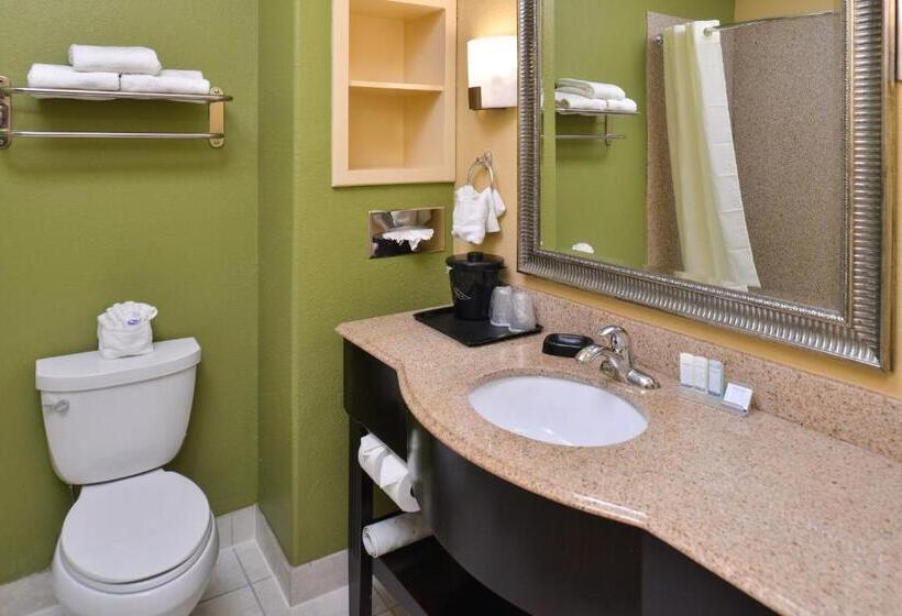 Стандартный Номер Кровать Кинг, Sleep Inn And Suites Downtown Houston