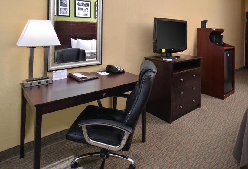 Стандартный Номер Кровать Кинг, Sleep Inn And Suites Downtown Houston