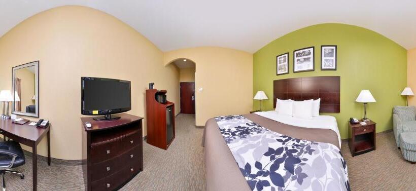 Стандартный Номер Кровать Кинг, Sleep Inn And Suites Downtown Houston