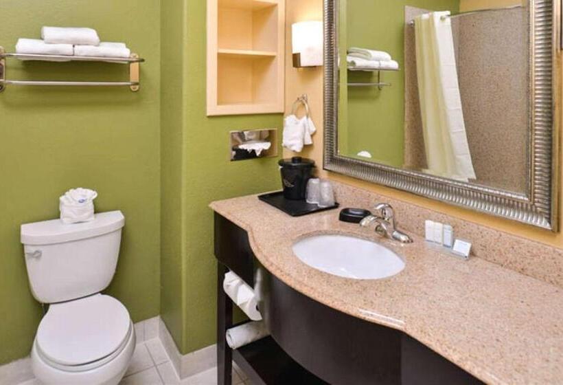 キングサイズベッドのスタンダードルーム, Sleep Inn And Suites Downtown Houston